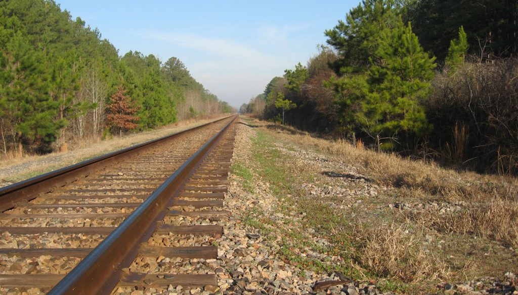 Deaths of Persons Hit by Train Determined to be Accidental