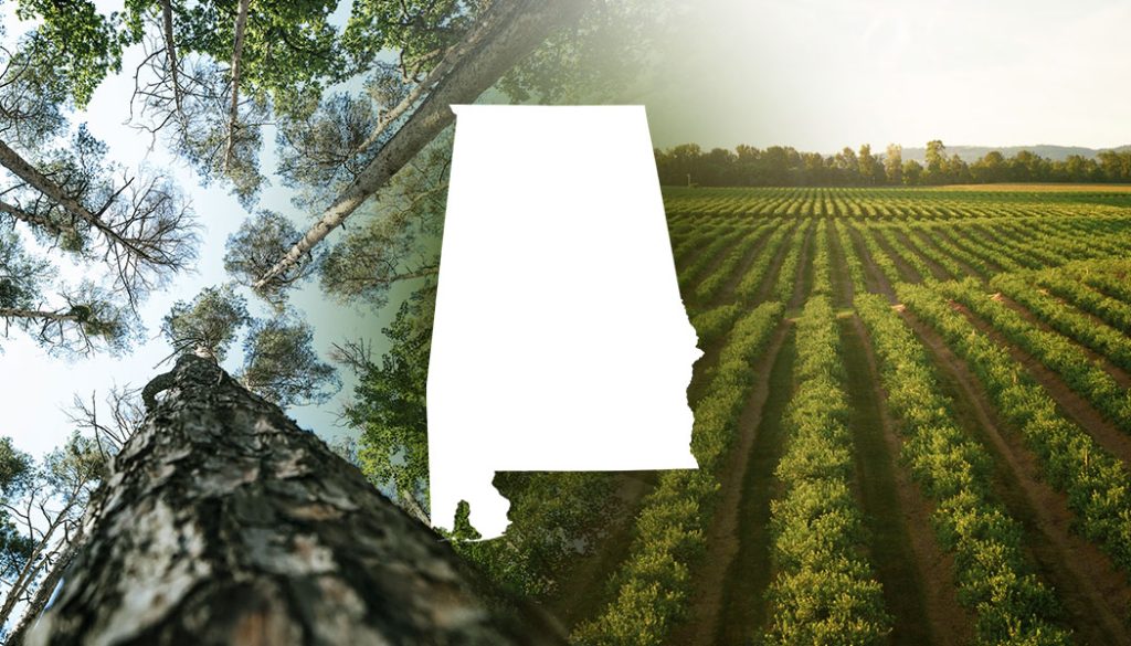Alabama Agriculture and Forestry Industries Contribute $77.3 Billion to State’s Economy