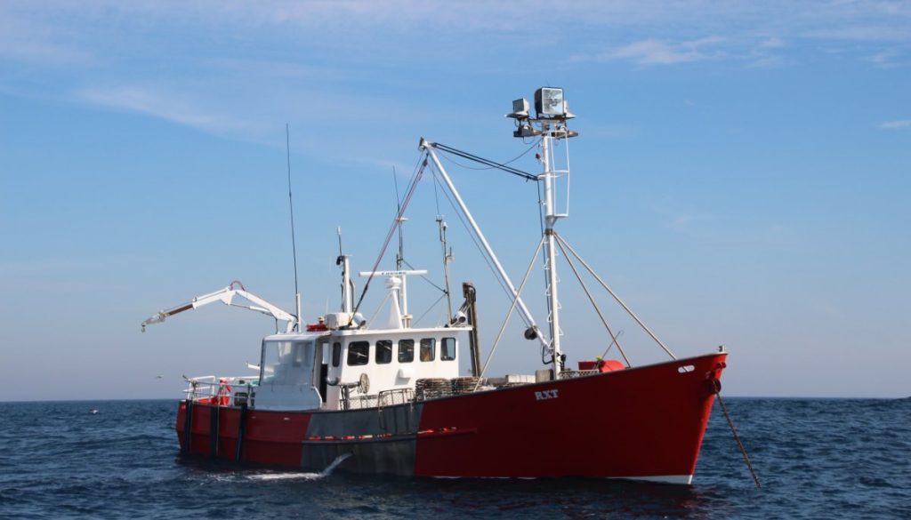 Increased Complaints, Dissatisfaction Over Imported Seafood