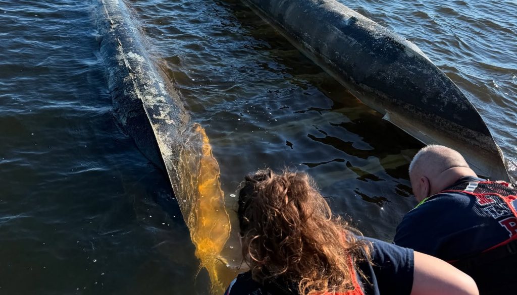 Lillian Firefighters Rescue Boater in Distress