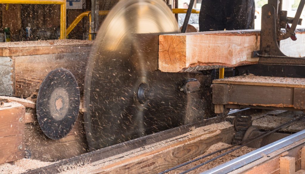 A New $210 Million Sawmill Has Opened in Mobile County