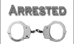 Burglary Suspect Arrested in the Act