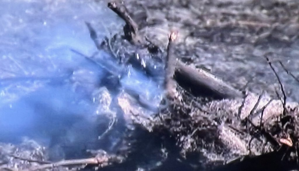 Baldwin County Firefighters Kept Busy With Brush Fires