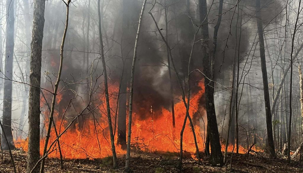Brush Fires Keep Firefighters Busy in Baldwin County