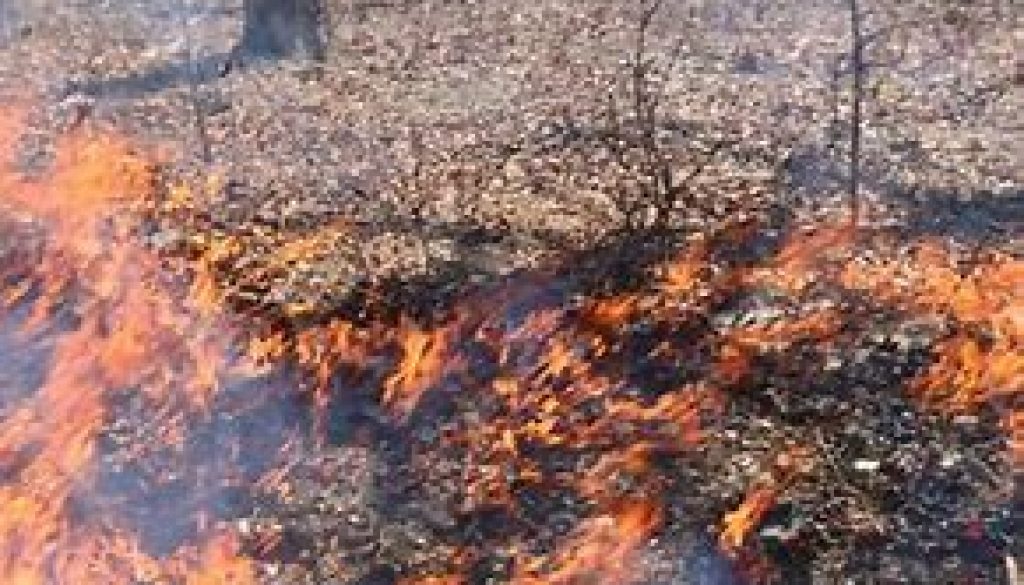 Brush Fires Once Again Keeping Firefighters Busy