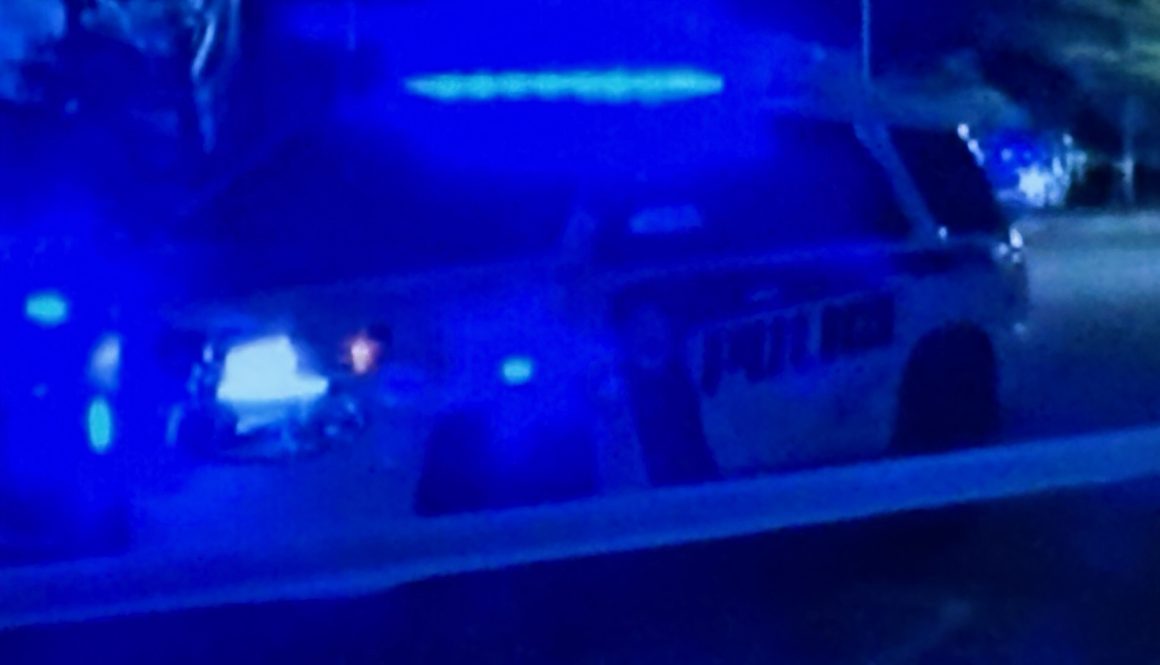 Police Arrest Adult and Juvenile After Fleeing in Stolen Vehicle