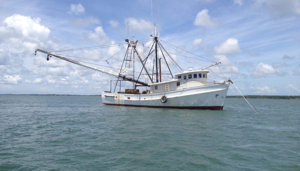 Alabama Shrimp Season Opens Sunday June 1st