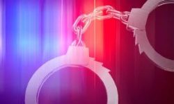 Private Security Capture Burglars at Apartment Complex