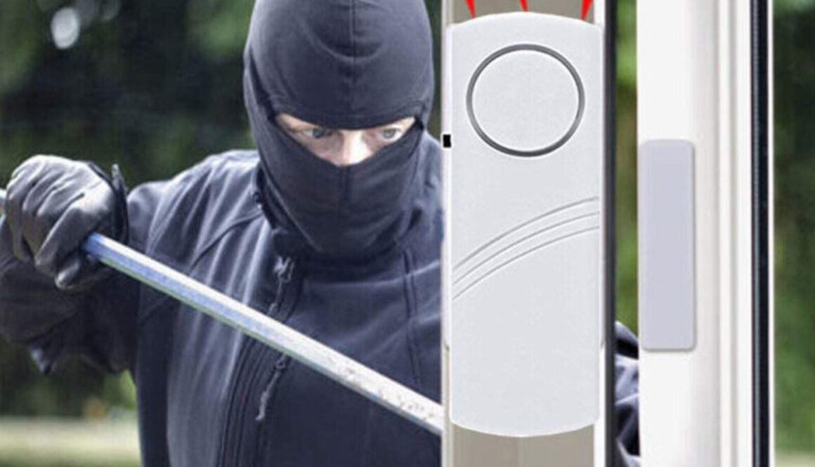 Burglar Alarms: What They Can Do and Won’t Do