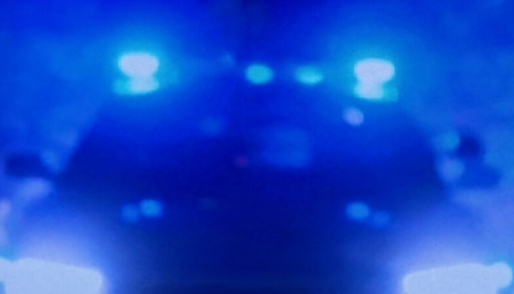 Shoplifter Resists Arrest, Assaults Ofifcer, Attempts to Flee