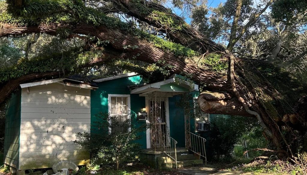 200 Year Old Oak Tree Falls Onto Mobile Home