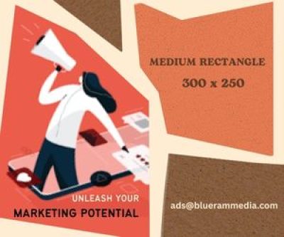 Medium Rectangle = 300 x 250 (2)