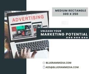 Medium Rectangle = 300 x 250 (3)