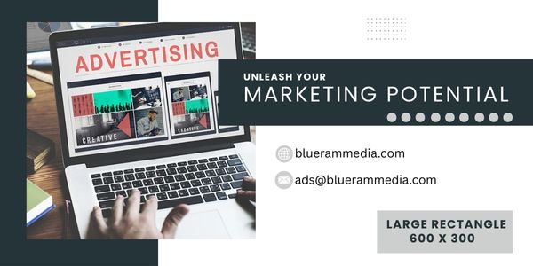 large rectangle 600 x 300