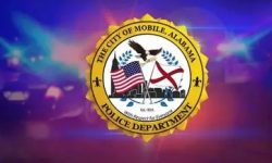 Halls Mill Business Shooting Leaves One Person Dead