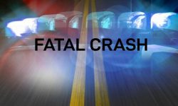 Two Dead in Fatal Traffic Collision