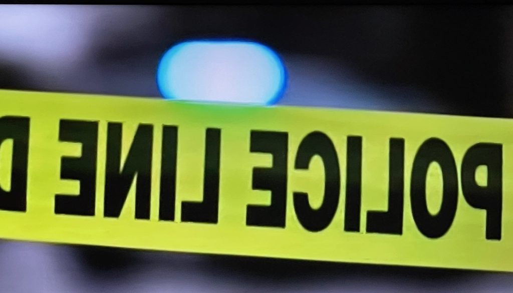 Two Missing Teens Found Murdered-1 Arrest Made