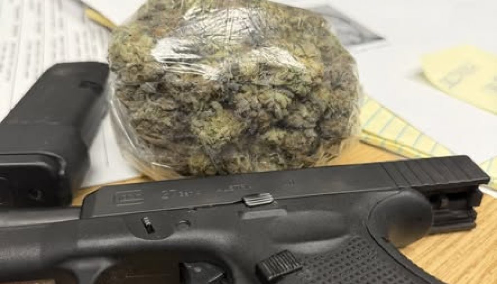 Creola Police Charge Driver With Drug Possession