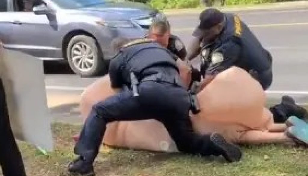 Fairhope Police Add More Charges to Penis Protestor
