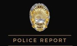 Fairhope Police Make Multiple DUI and Other Arrests
