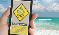 New Alabama Shark Sighting Alerts Starts April 1st