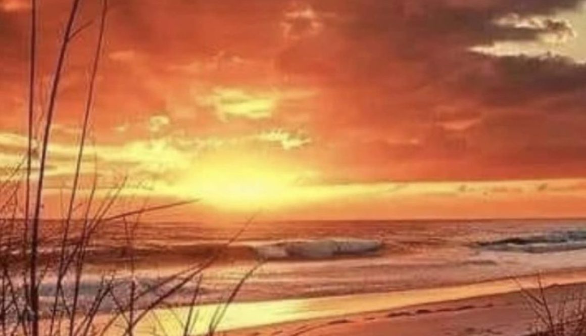 Alabama Beach Tourism Reached a Record $923 Million in 2025