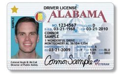 Alabama Supreme Court Says Officers May Demand Physical ID During Valid Stops