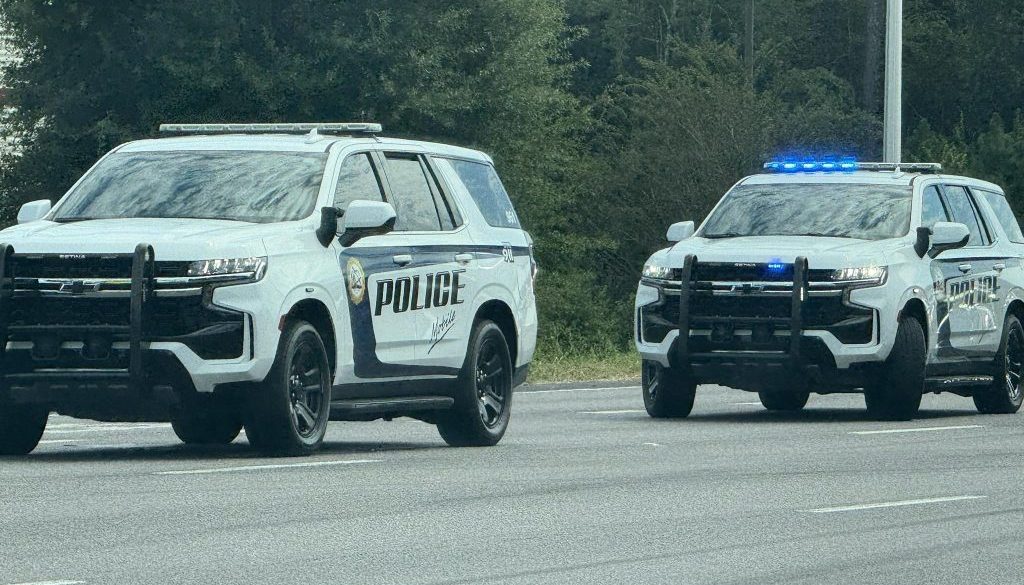 Police Pursuit Ends in Crash on Interstate 10