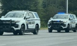 Driver Flees Police in Stolen Vehicle Later Captured