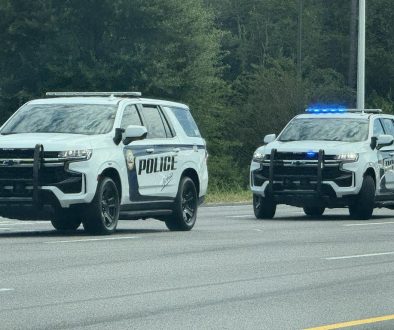 Woman Dies in Mobile Traffic Collision