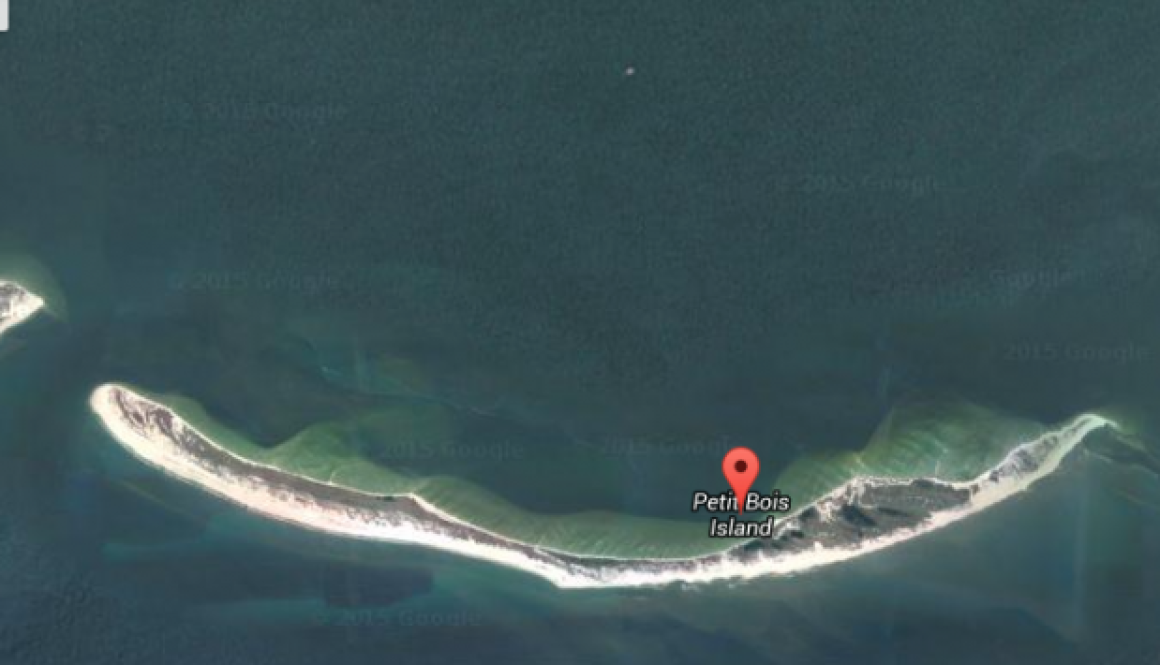 Missing Mobile Fisherman Recovered in Mississippi