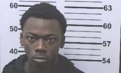 1 Adult-3 Juveniles Arrested in Prichard Murder