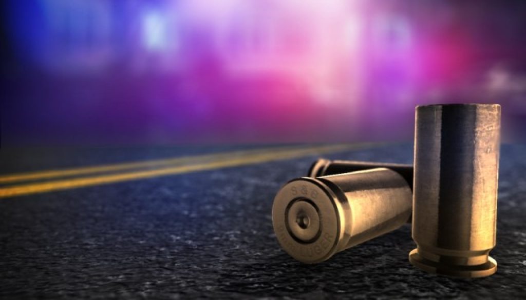 Two Persons Shot During Grand Bay Horse Show