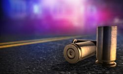 Two Persons Shot During Grand Bay Horse Show