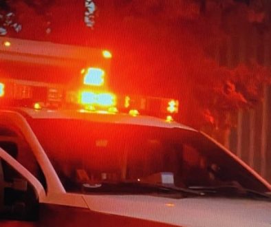 Two Men Die From Self-Inflicted Gunshots in Rural Baldwin County