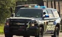 Daphne Domestic Incident Brings Large Police Response