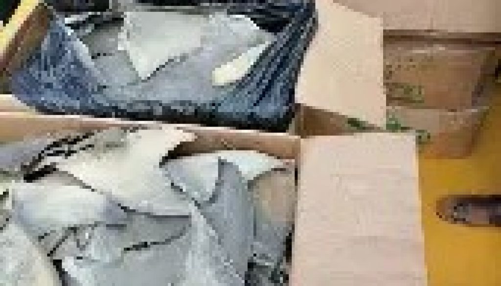 Authorities Seize 50,000 Dried Shark Fins at US ports, Valued at More Than $1 Million