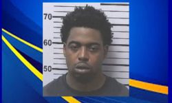 Driver Leads Police on Pursuit Before Crashing