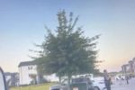 Police Arrest Foley Homicide Suspect