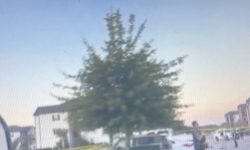 Police Arrest Foley Homicide Suspect