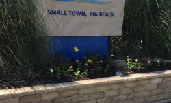 Gulf Shores Approves Pre-Zoning and Annexation Request For The Riviera Property