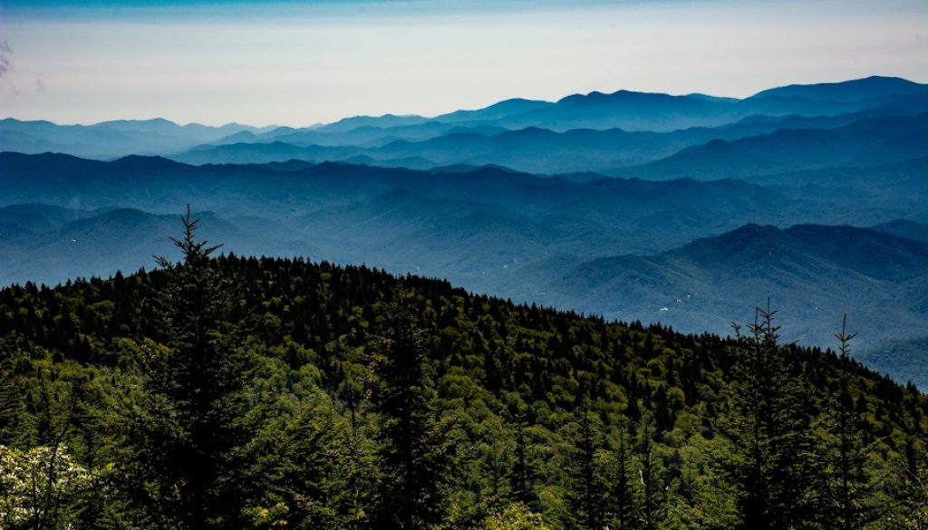 Over 200 Deaths Reported in U.S. National Parks