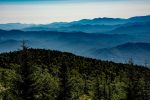 Over 200 Deaths Reported in U.S. National Parks