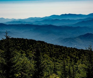 Over 200 Deaths Reported in U.S. National Parks
