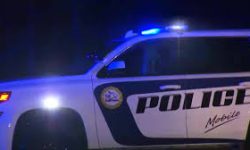 Mobile Police Investigating Fatal Weekend Traffic Collision