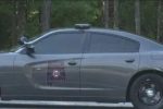 ALEA Investigating Hit and Run Pedestrian Fatality
