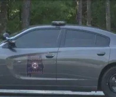 ALEA Investigating Hit and Run Pedestrian Fatality