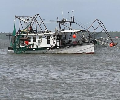 Alabama’s Shrimp Season Opens Today