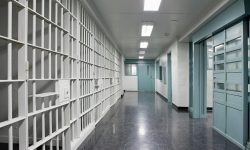 Mobile Man Sentenced to Federal Prison For Child Pornography Distribution