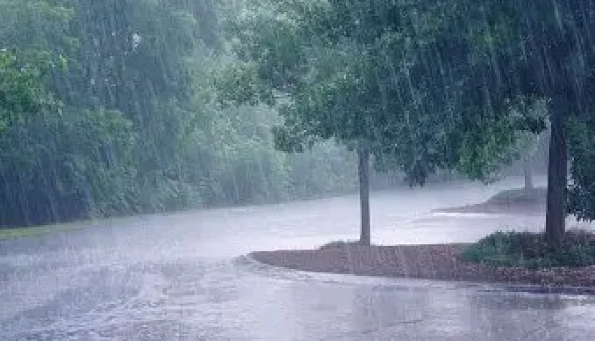 Daylong Heavy Rains Leaves It’s Mark in Baldwin County